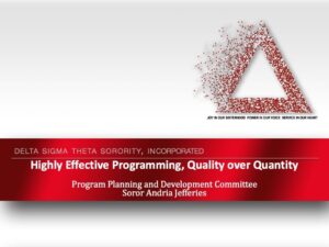 Leadership Retreat: Effective Programming and National PPD Programs Presentation